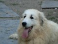 /album/fotogaleria/evita-2-jpg/